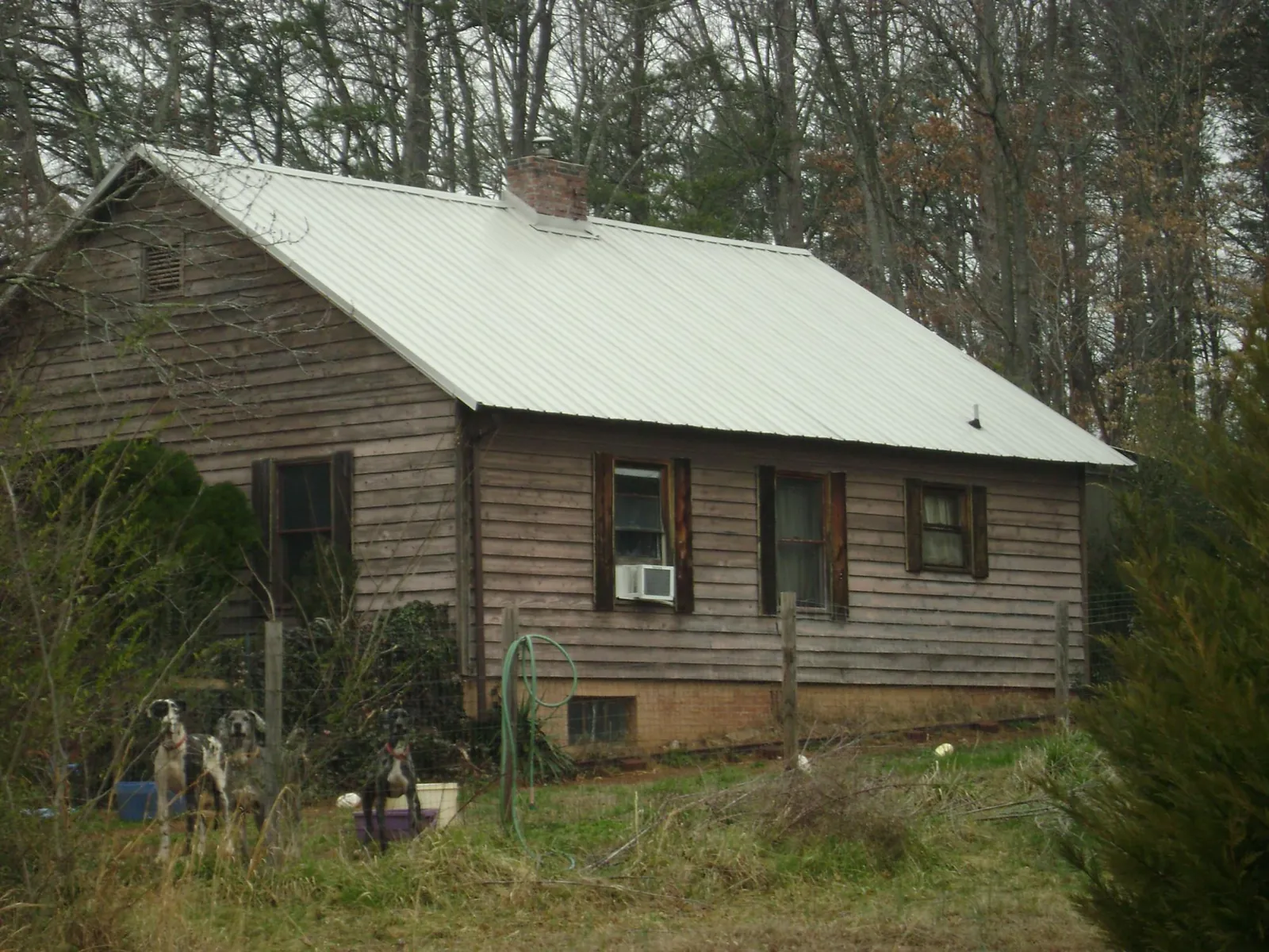 White metal roof on an old wood sided farmhouse, from a Asphalt Shingle Roof Repair job in Climax